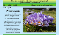 Z Czterech Stron Gminy Nr 1 (92) z 2021 roku