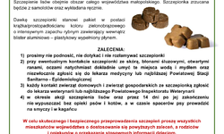 Szczepienie lisów przeciwko wściekliźnie