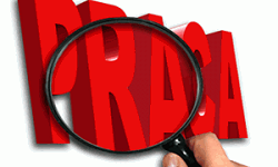 Ogłoszenie o naborze na wolne stanowisko urzędnicze - Ekodoradca