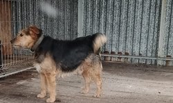 Szukamy właściciela