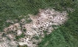 Motocrossy rozjeżdżają Łyczański Las