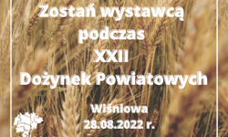 Zostań Wystawcą podczas Dożynek Powiatowych