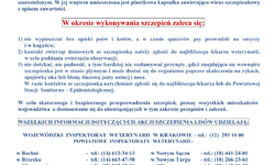 Szczepienie lisów przeciwko wściekliźnie