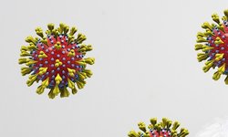 Co musisz wiedzieć o koronawirusie?