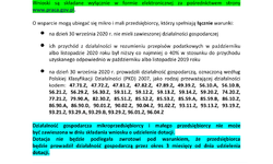 Wsparcie dla przedsiębiorców w ramach tarczy antykryzysowej