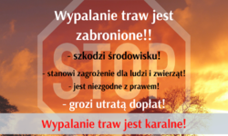 ARiMR przypomina: wypalanie traw jest karalne