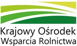 Program stypendiów pomostowych 2019/2020
