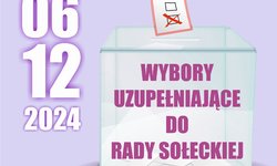 Wybory uzupełniające do Rady Sołeckiej