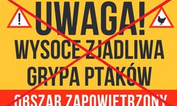 Ptasia grypa:  Wojewoda Małopolski uchylił rozporządzenie