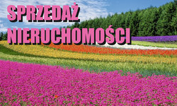 Zapraszamy na przetargi