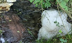 Informacja w sprawie zanieczyszczenia potoku Leńczówka