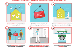 Informacja o wystąpieniu wysoce zjadliwej grypy ptaków (HPAI) u ptaków dzikich – rybitw rzecznych