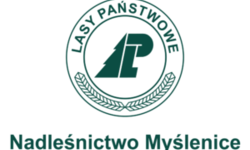 Zawieszenie pełnienia dyżurów leśniczych i instruktorów ds. lasów niepaństwowych