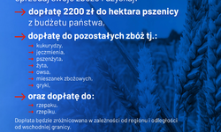 Ważne informacje dla rolników dotyczące dopłat do zbóż oraz rzepaku i rzepiku