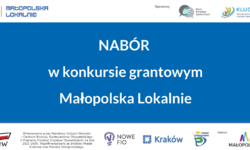 Małopolska Lokalnie