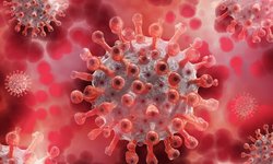 Koronawirus w ataku - apel