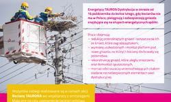 Zimowa opieka nad bocianimi gniazdami