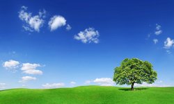 Kampania społeczna – Poprawa jakości powietrza w Gminie Siepraw