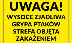 Ptasia grypa: Gmina Siepraw  objęta  ograniczeniami