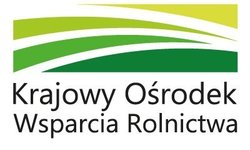 Stypendia Pomostowe w roku akademickim 2020/2021