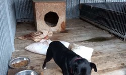 Szukamy właściciela